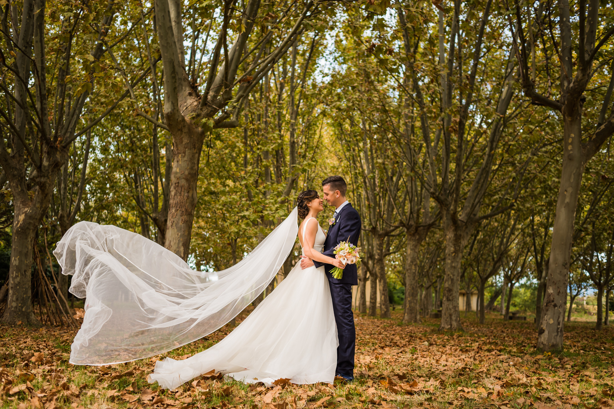 Bodas Indiana
